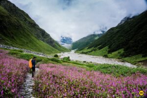 Valley Of Flowers