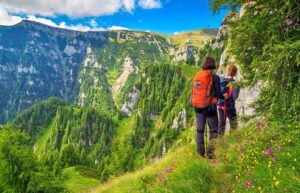 Valley Of Flowers