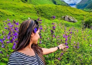 Valley Of Flowers
