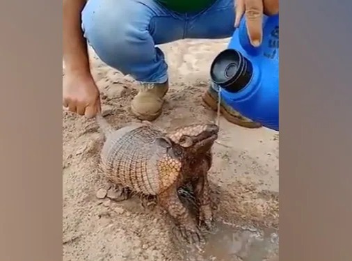 इंसानियत अब भी जिंदा है।