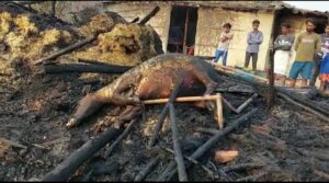 Hut Fire