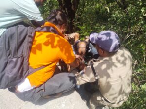 Accident In Mussoorie