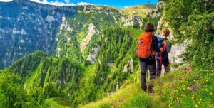 Valley Of Flowers In Chamoli 