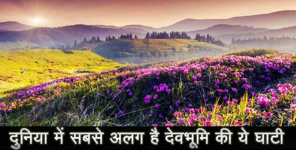 Valley Of Flowers In Chamoli