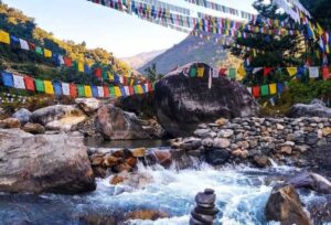 Record Tourists In Dehradun