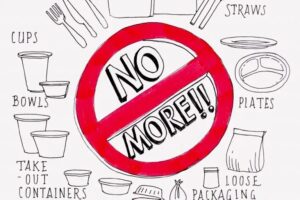 Plastic Ban In Uttarakhand 