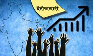 National Statistical Office Survey 