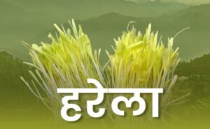 Harela Festival In Uttarakhand