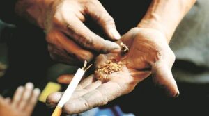 Drug Supply In Uttarakhand