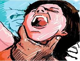 Delhi Gang Rape Case