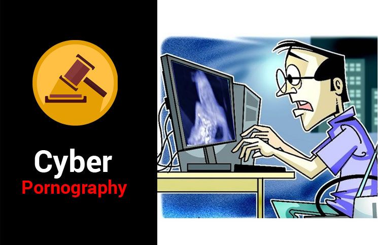 Porn Upload On National Cyber Crime : नेशनल साइबर क्राइम रिपोर्टिंग पोर्टल पर चाइल्ड पोर्न अपलोड, पुलिस ने हटवाई वीडियो