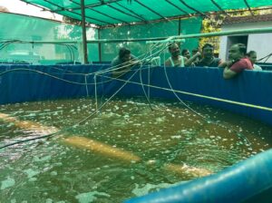 fish department question