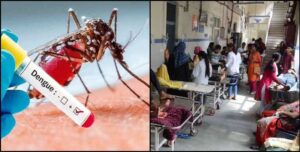 dengue increase in uttarakhand