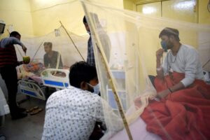 Dengue Case Update 