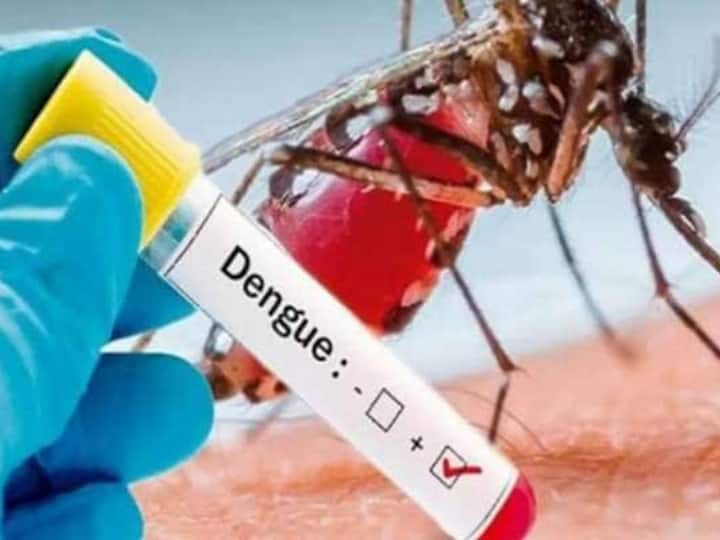 Dengue Guidelines Update: डेंगू को लेकर स्वास्थ्य विभाग अलर्ट, सभी जिलों के लिए गाइडलाइन जारी
