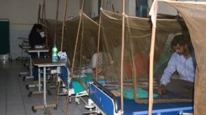 dengue guidelines update