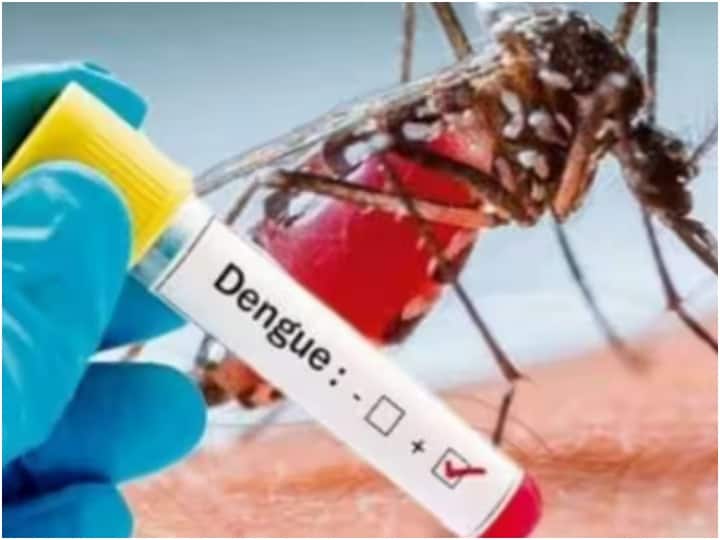 Dengue Control Room
