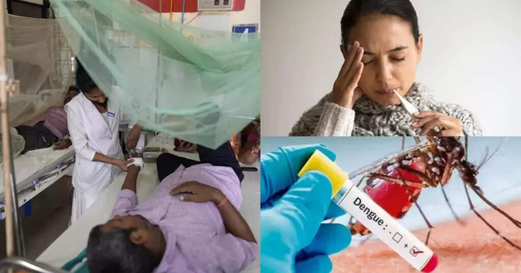 Dengue Increase In Uttarakhand : डेंगू के डंक से जनता बेहाल, प्रदेश में लगातार बढ़ती जा रही डेंगू के मरीजों की संख्या