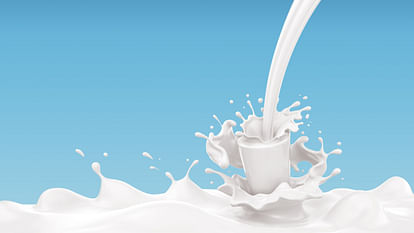 Automatic Milk Plant in Lalkuan : लालकुआं में 80 करोड़ की लागत से लगेगा ऑटोमेटेड मिल्क प्लांट, दुग्ध उत्पादन को मिलेगा बढ़ावा