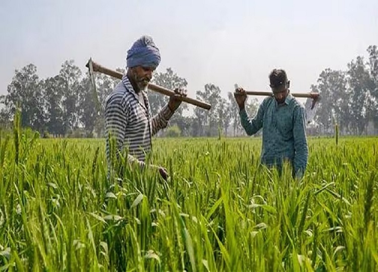 Cm Dhami On Vikas Yojna पात्र लोगों को मिलेगा केंद्र सरकार की कल्याणकारी योजनाओं का लाभ, सीएम धामी ने अधिकारियों को दिए निर्देश