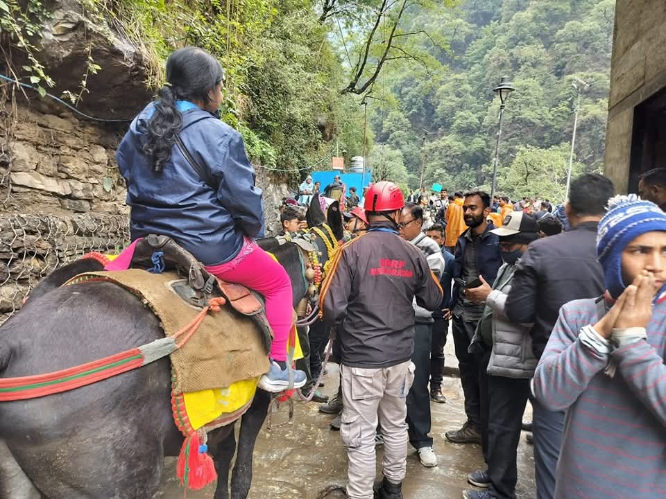 Kedarnath Horse Yatra:खच्चरों और घोड़ों के माध्यम से यात्री और माल ढुलाई की नई व्यवस्था लागू, चिकित्सा अधिकारी रुद्रप्रयाग डॉ. आशीष रावत ने दिए निर्देश